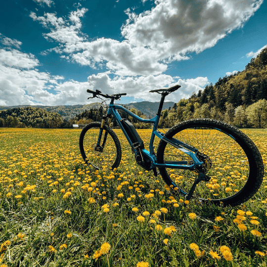 Lifestyle ebike in a field of flowers 